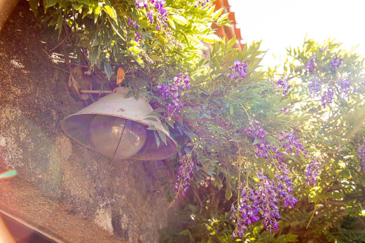Le Mas Des Roches Proche Puy Du Fou Bed and Breakfast Saint-Paul-en-Pareds Eksteriør billede